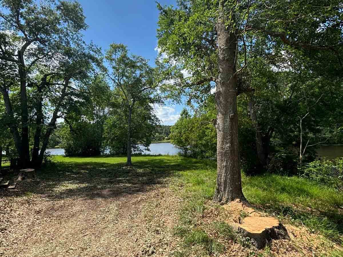 El Costeño Tree Service LLC